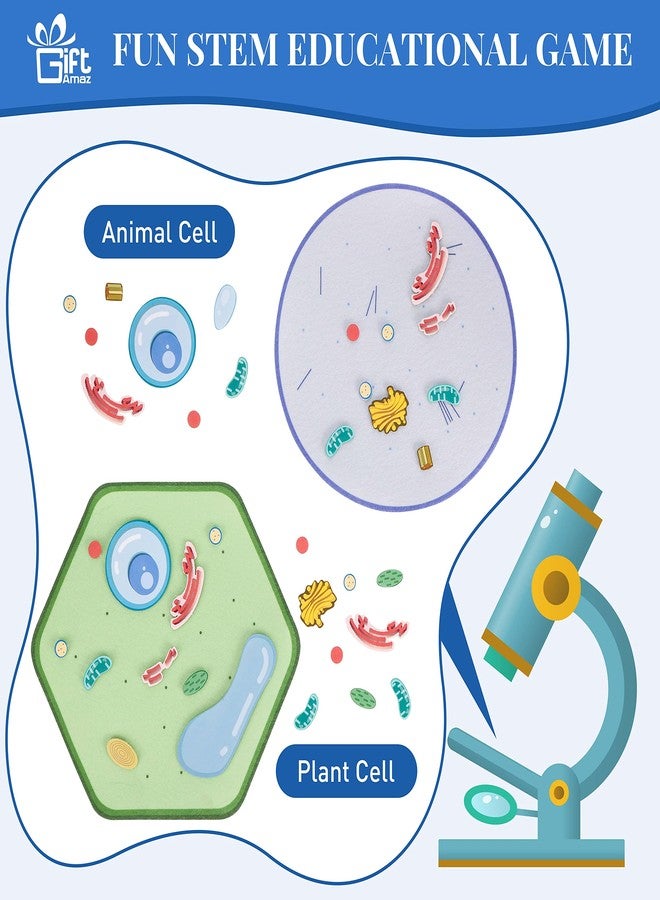 GiftAmaz Animal and Plant Cell Anatomy Model, Soft Felt Toy, Early Cell Biology and Life Science STEM Toys, Classroom Teaching Aid, Educational Learning Activities STEM Birthday Toys for Kids 6+ - Image 2